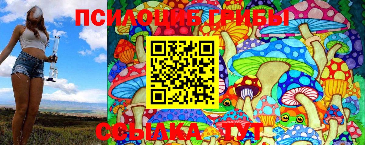 Волгоград  Галлюциногенные грибы MAGIC MUSHROOMS  Вход с VPN 