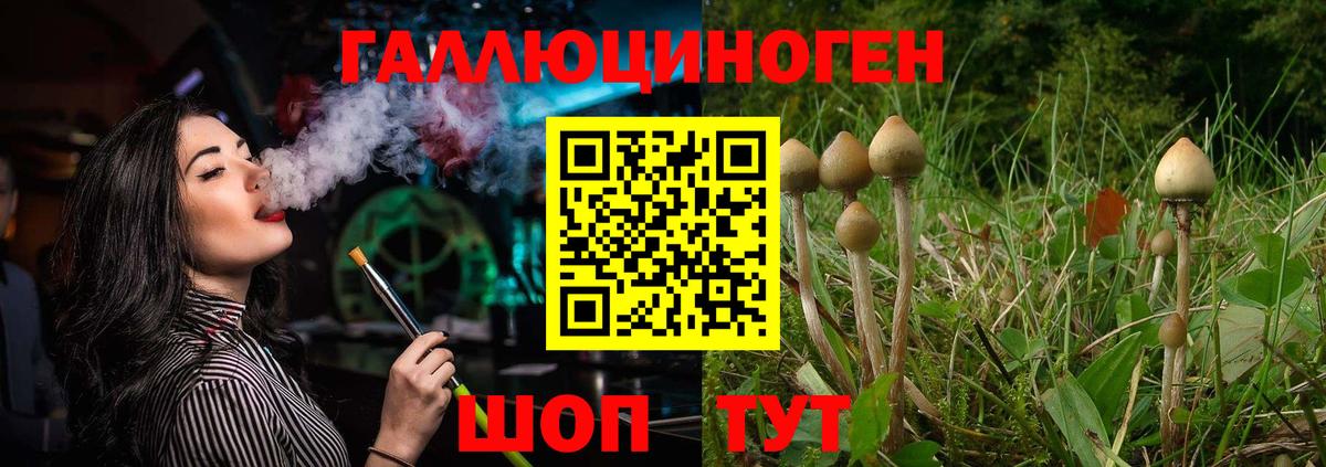 Псилоцибиновые грибы MAGIC MUSHROOMS Волгоград